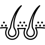 חודשים 5-6